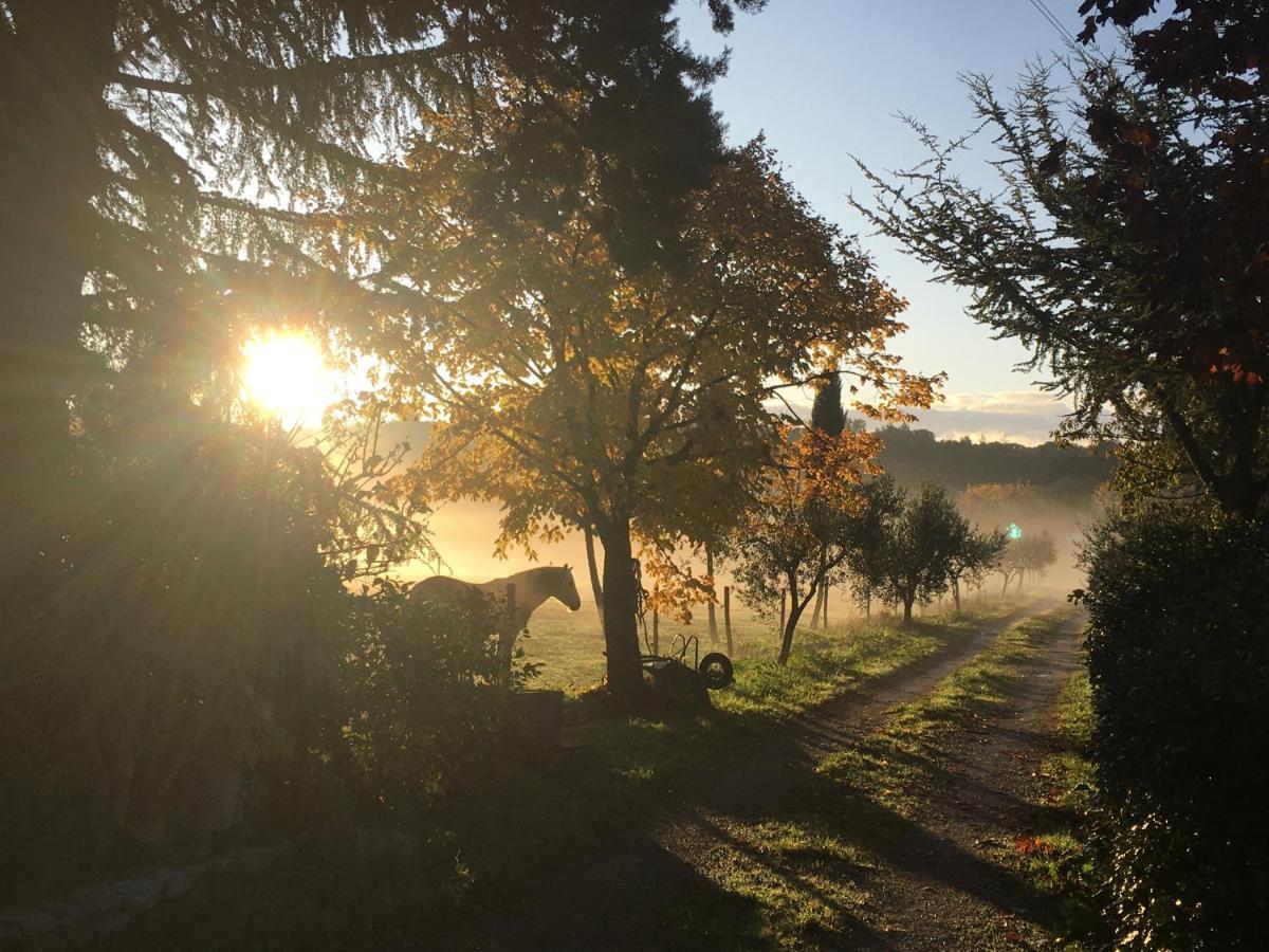 Mas De La Rivoire B&B Villevieille ภายนอก รูปภาพ