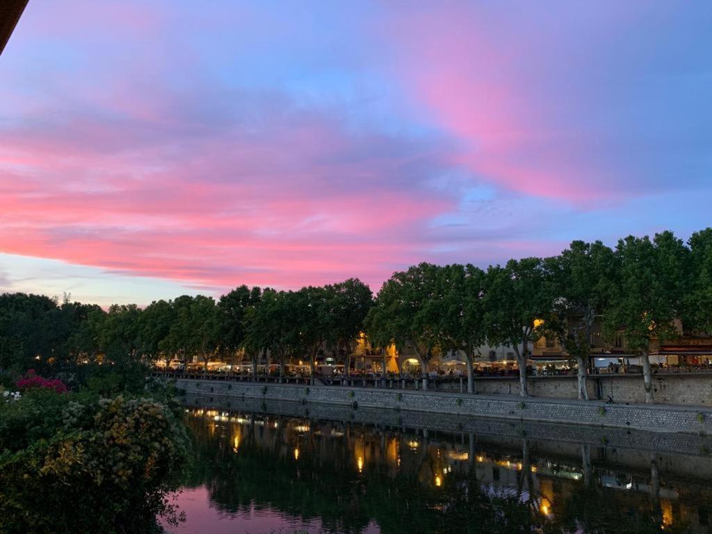 Mas De La Rivoire B&B Villevieille ภายนอก รูปภาพ