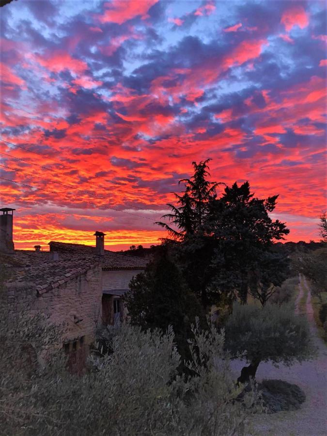 Mas De La Rivoire B&B Villevieille ภายนอก รูปภาพ
